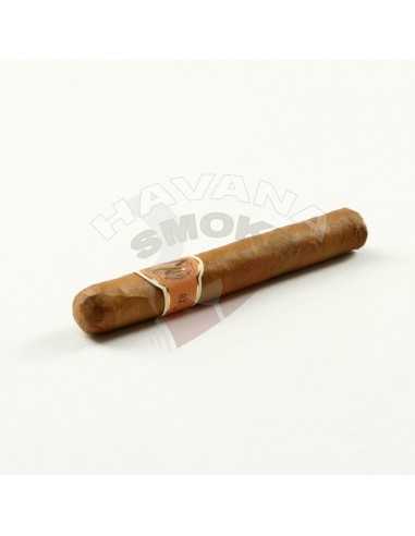 AVO XO Notturno - купить в интернет-магазине Havana Smoke