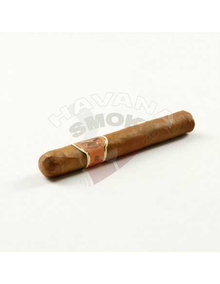 AVO XO Notturno - купить в интернет-магазине Havana Smoke