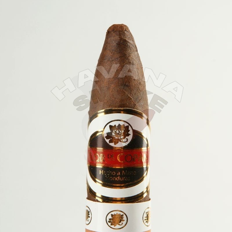 Купить FLOR DE COPAN BELICOSO MADURO