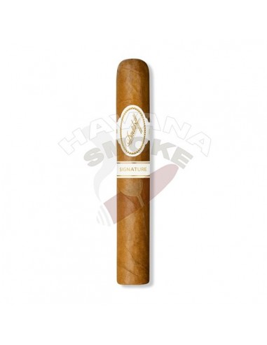 Davidoff Signature 6000 - купить в интернет-магазине Havana Smoke