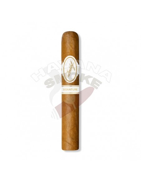 Davidoff Signature 6000 - купить в интернет-магазине Havana Smoke