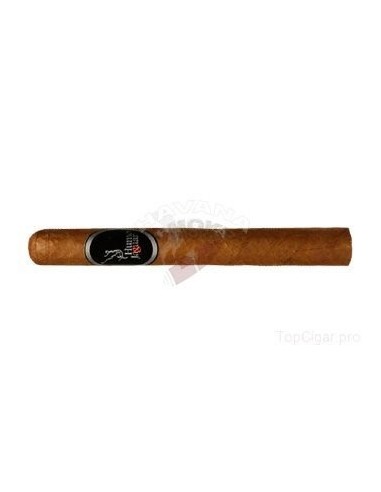 Humo Jaguar Corona - купить в интернет-магазине Havana Smoke