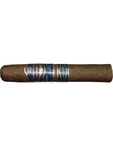Casa Turrent Serie 1973 Double Robusto - купить в интернет-магазине Havana Smoke