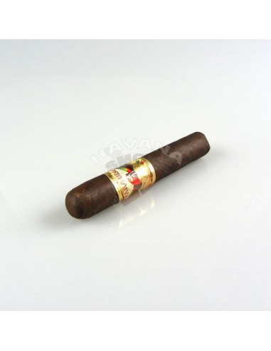 Paradiso Classico Robusto - купить в интернет-магазине Havana Smoke