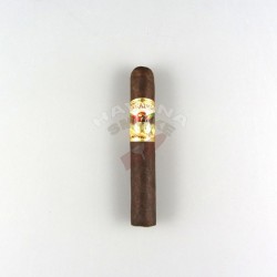 Купить Paradiso Classico Robusto