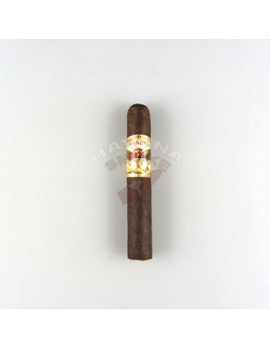 Paradiso Classico Robusto - купить в интернет-магазине Havana Smoke