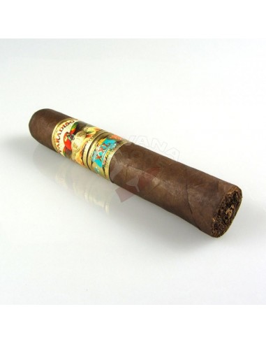 Paradiso Papagayo XXL - купить в интернет-магазине Havana Smoke