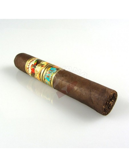 Paradiso Papagayo XXL - купить в интернет-магазине Havana Smoke