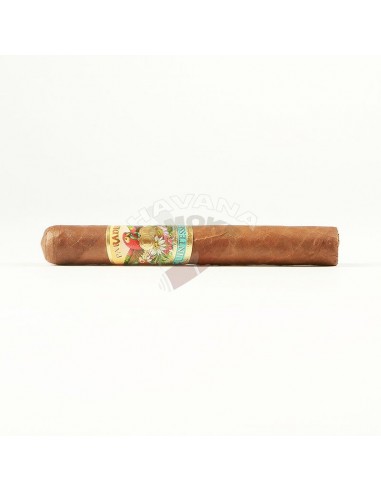 Paradiso Quintessence Epicure - купить в интернет-магазине Havana Smoke