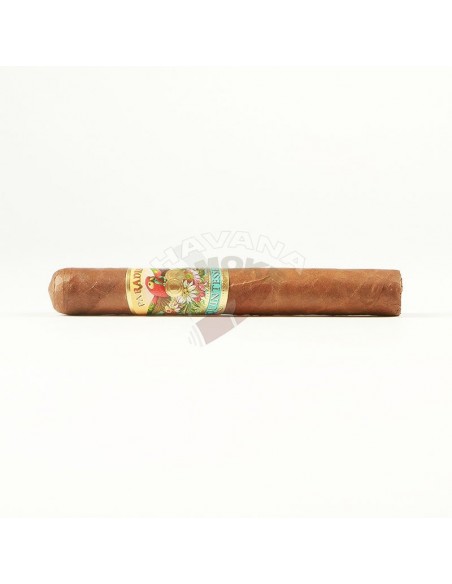 Paradiso Quintessence Epicure - купить в интернет-магазине Havana Smoke