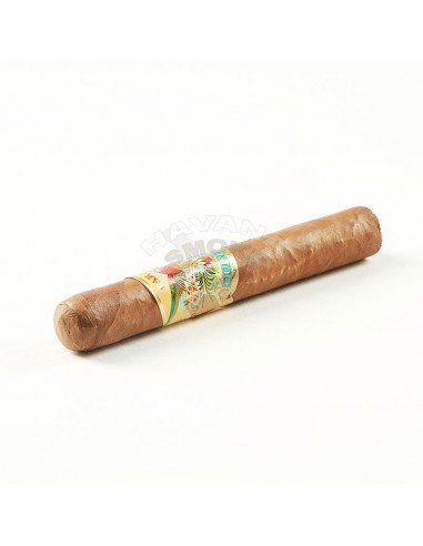 Paradiso Quintessence Epicure - купить в интернет-магазине Havana Smoke