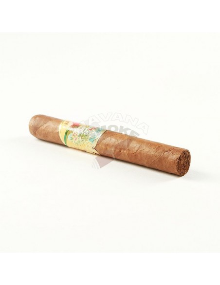 Paradiso Quintessence Epicure - купить в интернет-магазине Havana Smoke