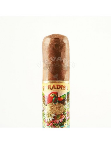 Paradiso Quintessence Epicure - купить в интернет-магазине Havana Smoke