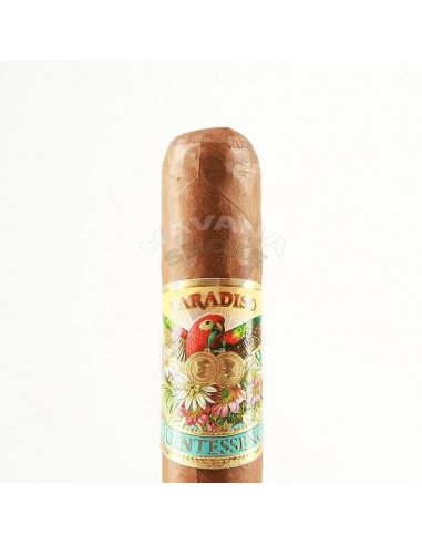 Paradiso Quintessence Majestic - купить в интернет-магазине Havana Smoke