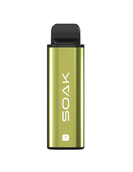 POD-система SOAK T - Айва - Кардамон (4.000 затяжек) - 2% (1 шт.)