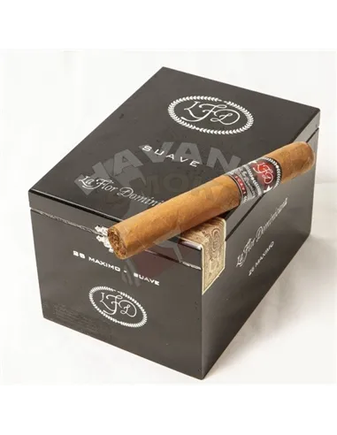 La Flor Dominicana Suaveе Maximo