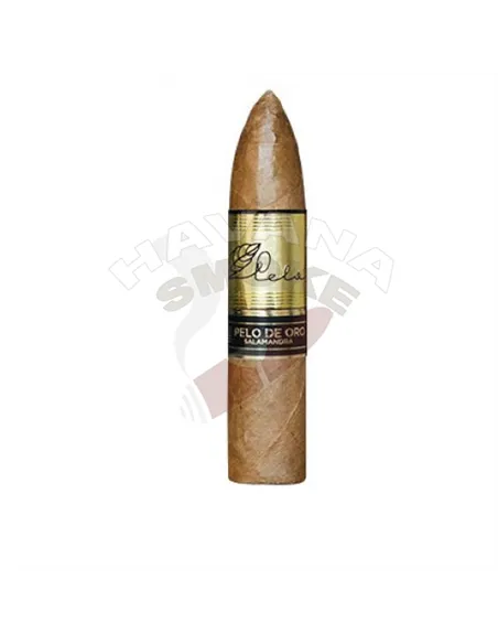 Pelo de Oro Salamandra