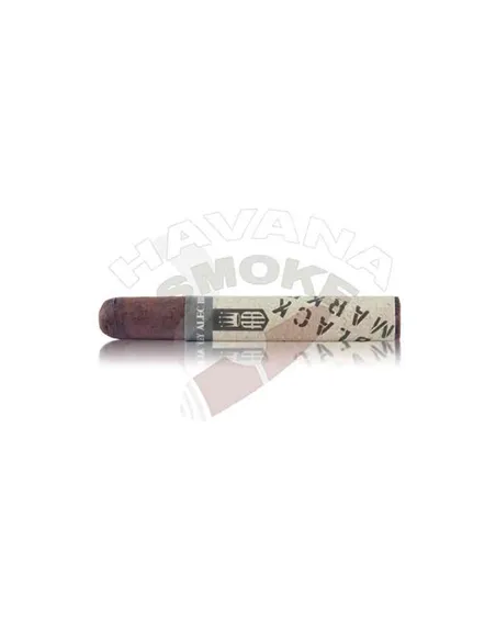 ALEC BRADLEY BLACK MARKET PUNK