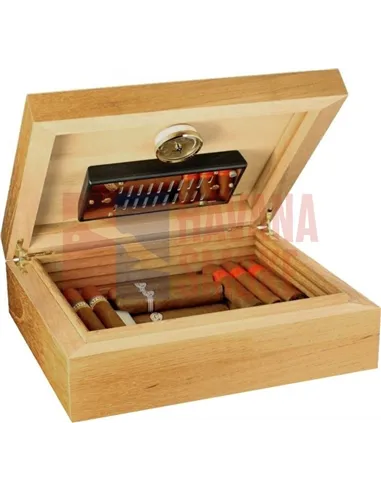 Adorini Torino Deluxe