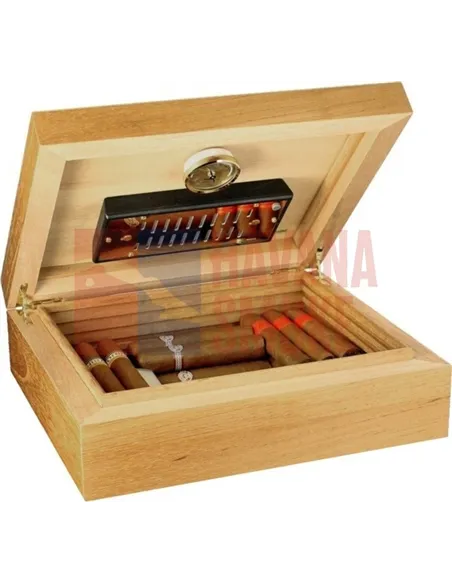 Adorini Torino Deluxe