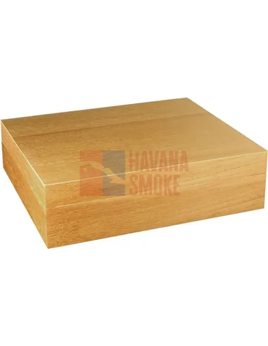 Adorini Torino Deluxe