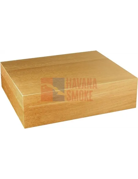 Adorini Torino Deluxe