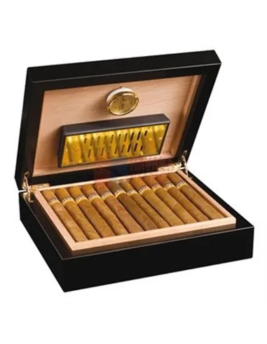 Adorini Torini Cedro