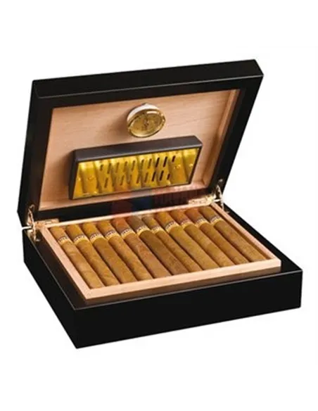 Adorini Torini Cedro