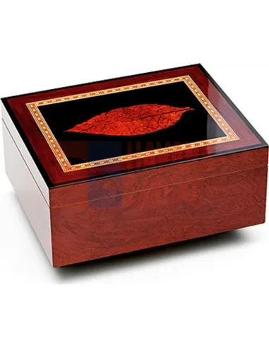 Аdorini Venezia Deluxe