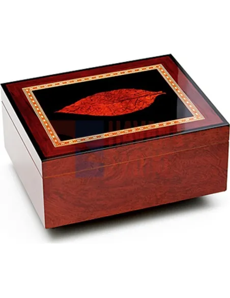 Аdorini Venezia Deluxe