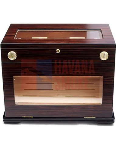 Adorini Aficionado Deluxe