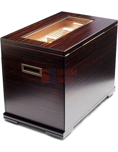 Adorini Aficionado Deluxe