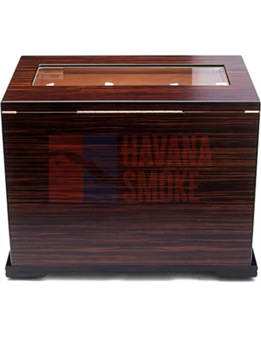 Adorini Aficionado Deluxe