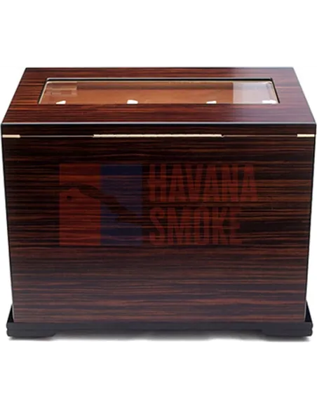 Adorini Aficionado Deluxe