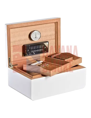 Adorini Carrara Grande - Deluxe