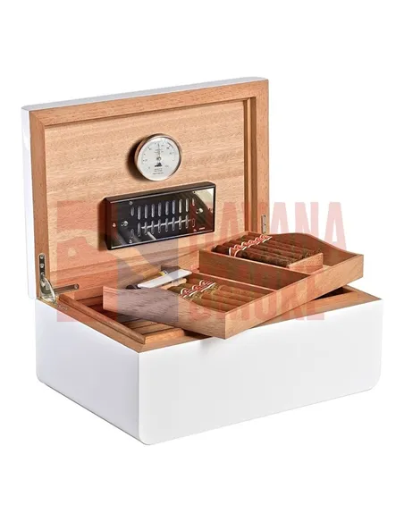 Adorini Carrara Grande - Deluxe