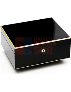 Adorini Milan - Deluxe