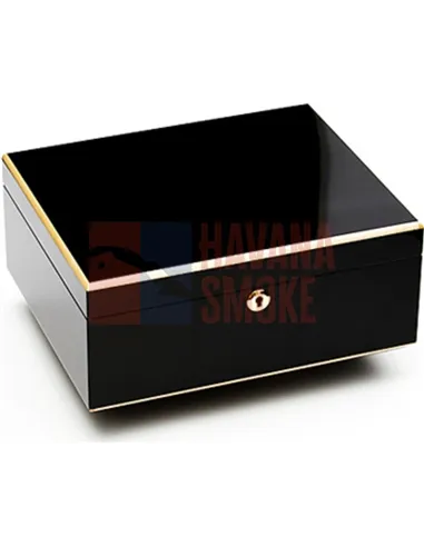 Adorini Milan - Deluxe