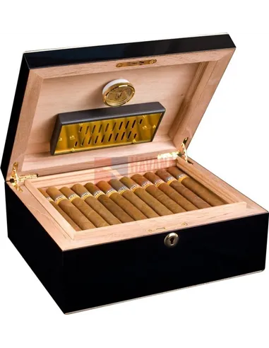 Adorini Milan - Deluxe