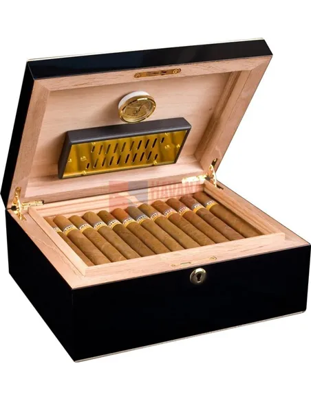 Adorini Milan - Deluxe