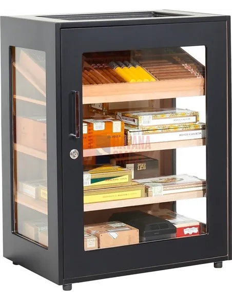 Adorini Salina Black