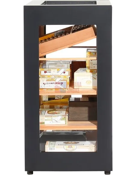 Adorini Salina Black