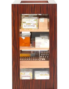 Adorini Salina Ebony