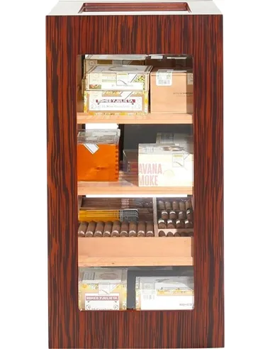 Adorini Salina Ebony