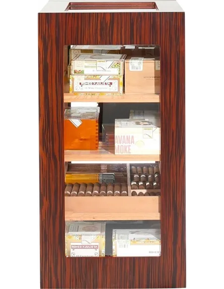 Adorini Salina Ebony