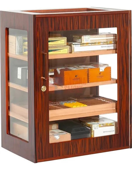 Adorini Salina Ebony