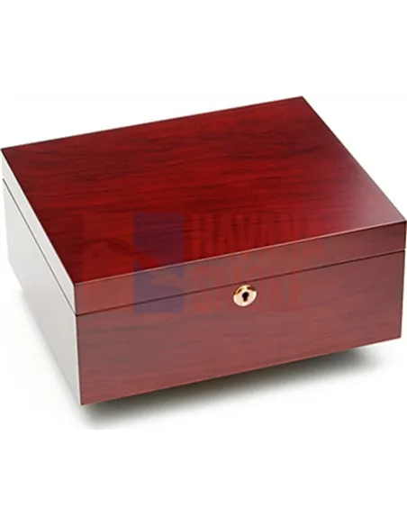 Аdorini Triest Deluxe