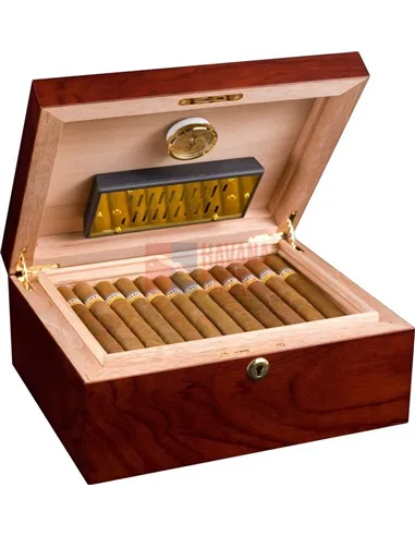 Аdorini Triest Deluxe