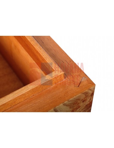 Хьюмидор Gentili SV50-Elm-Matt - купить в интернет-магазине Havana Smoke