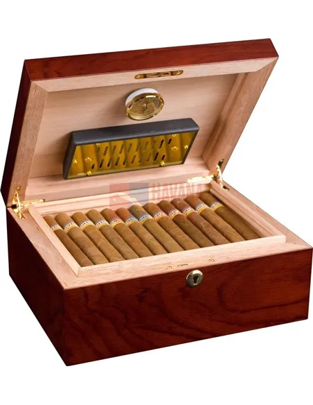 Аdorini Triest Deluxe